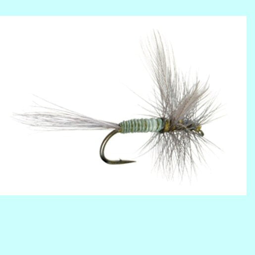 AK's Olive Quill Dun