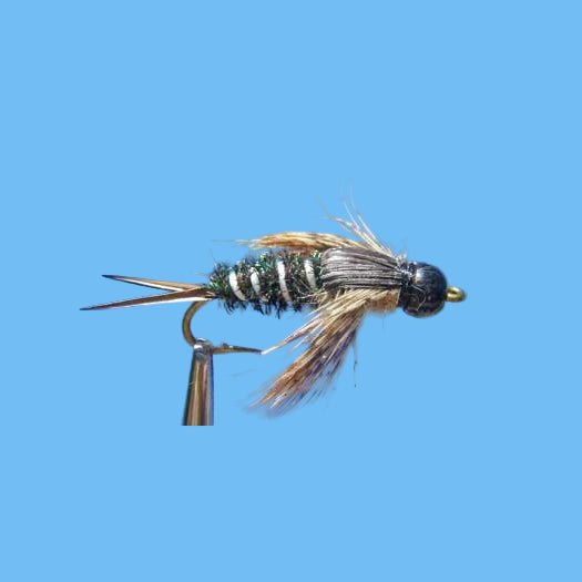 BTB Twenty Incher