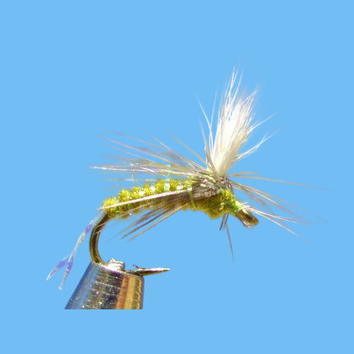 BWO Baetis