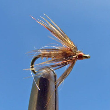 Biot Emerger - Brown