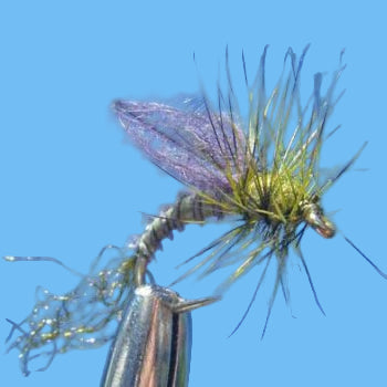 CDC Winged Emerger BWO