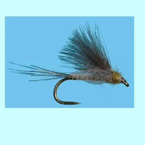 CDC Flavilinea
