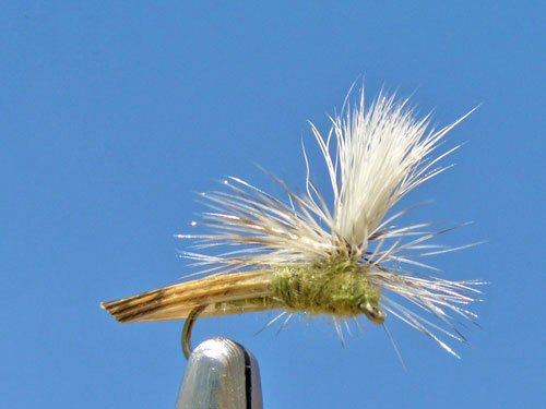 Parachute Caddis