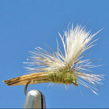 Parachute Caddis