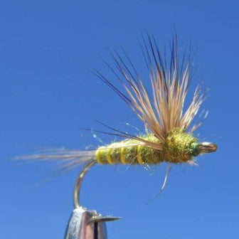 Comparadun Green Drake