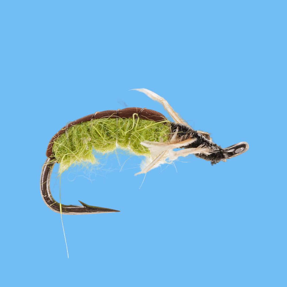 Crawling Caddis - Olive