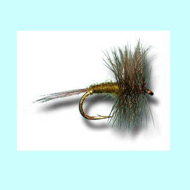 Dark Wing Olive