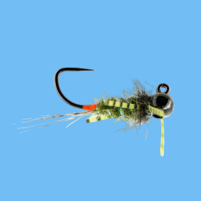 Dirty Hipster Green Drake jigged tungsten nymph Drunella grandis imitation for euro nymphing Colorado trout rivers