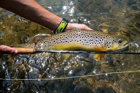 TFO Blue Ribbon 8’6 4 WT