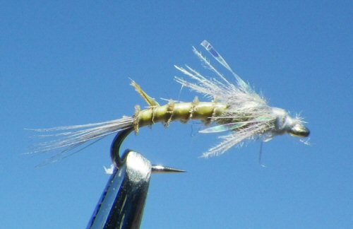 FPA Sparkle Baetis