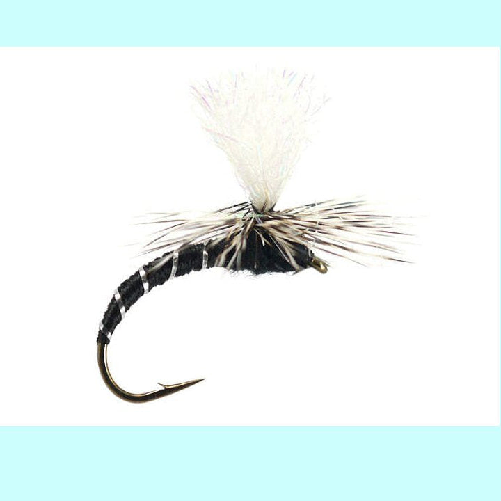 GT Trico Adult