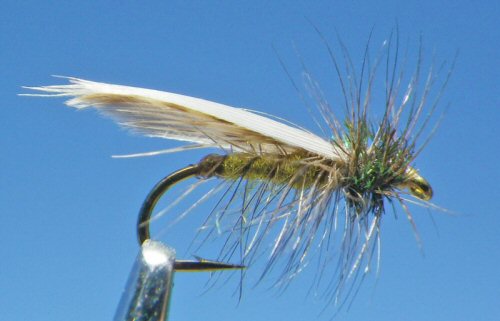 Hemingway Caddis