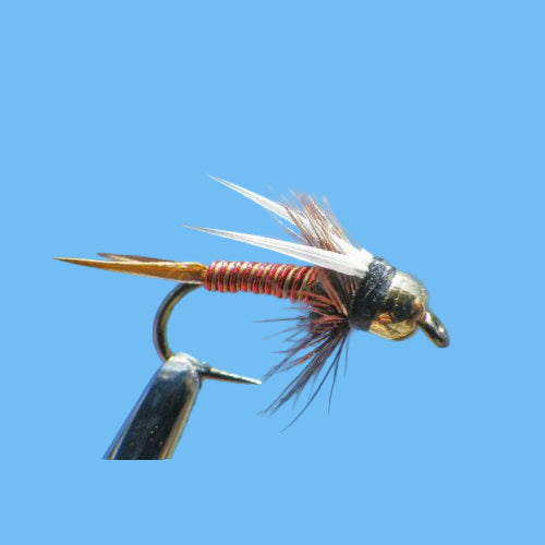 Hotwire Prince - Yellow/Red