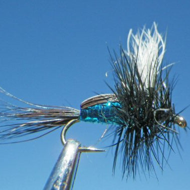 Humpy - Blue Bottle