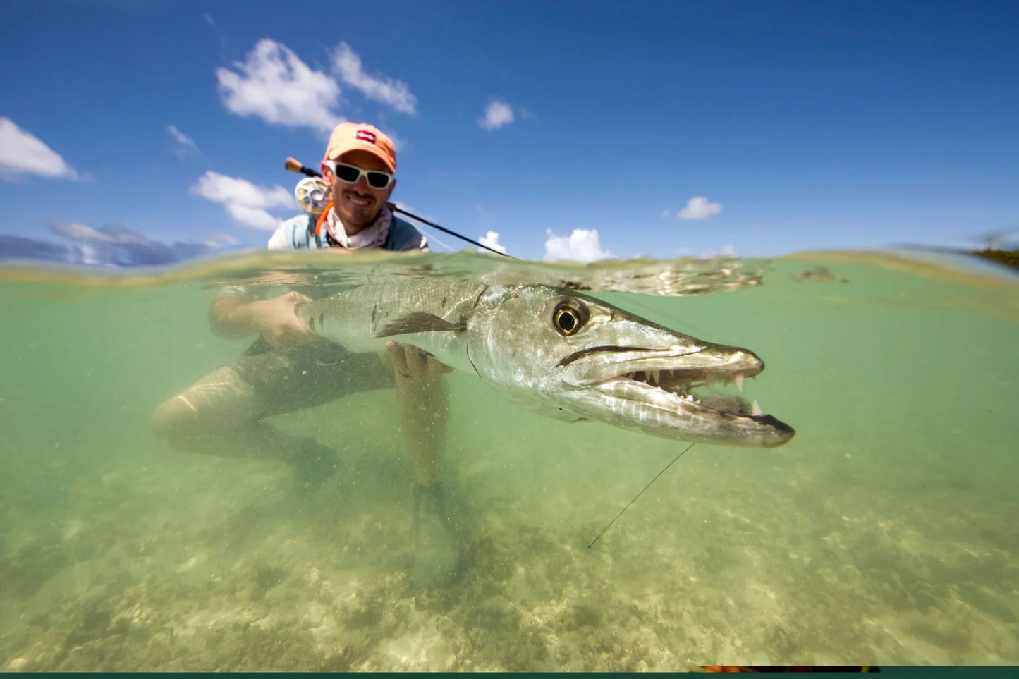 Cortland Tie-able Stainless Steel