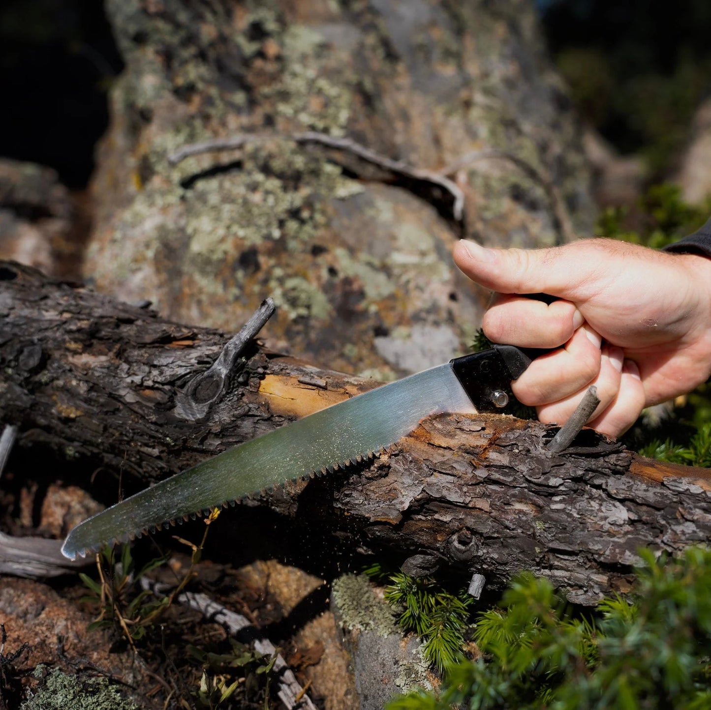 Outdoor Edge Grizsaw