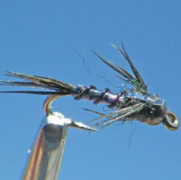 Lightning Bug - Black