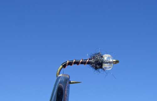 Mercury Black Beauty