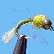 Shuckin' Midge - Olive