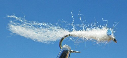 Mike's Mysis - Blue Eyes