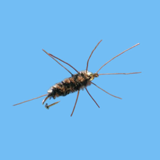 Mike's TGB Girdlebug - Coffee/Black