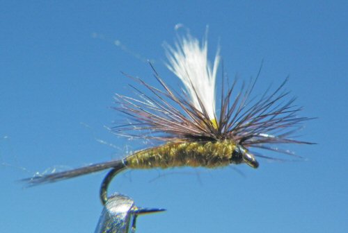 Parachute BWO