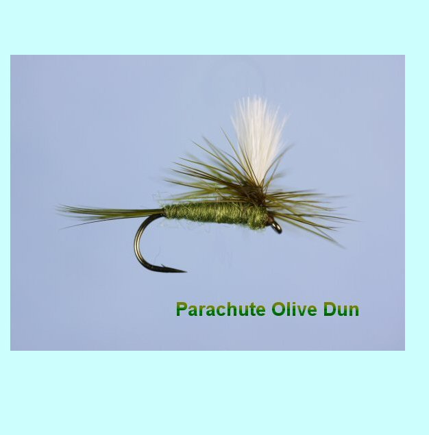 Parachute Dun