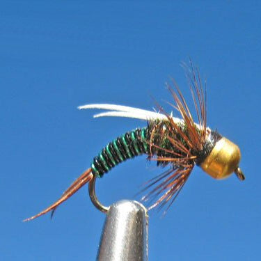 BH Prince - Black/Green