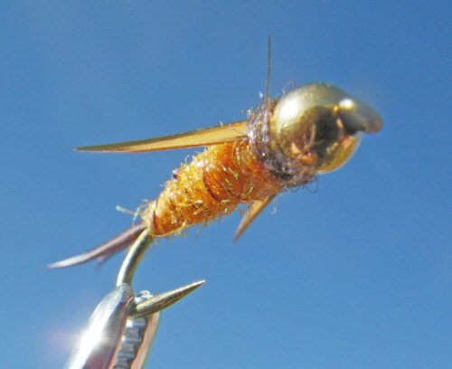 Psycho Prince - Orange