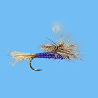 Purple Parachute
