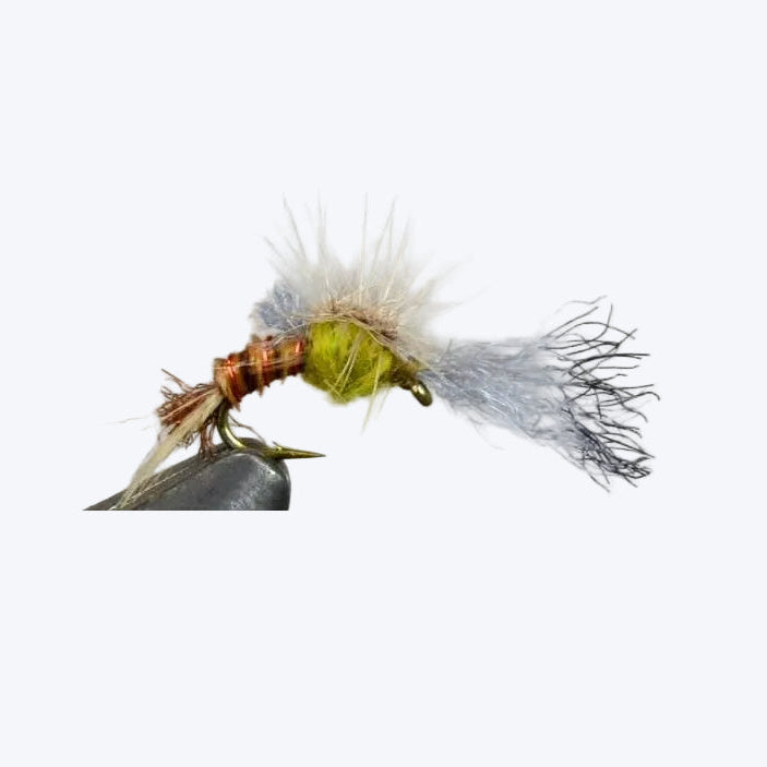 Quigley's Film Critic dry fly for trout fishing on Colorado rivers — available at Glenwood Springs Outdoors, Glenwood Springs, CO