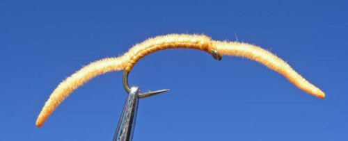 San Juan Worm - Fl Orange