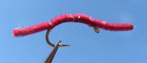 San Juan Worm - Red