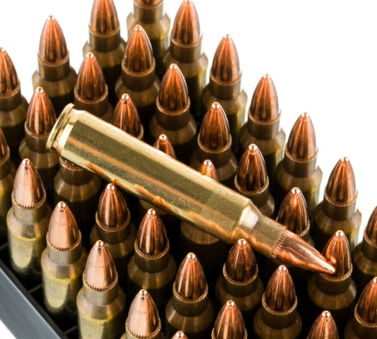 Bulk 223 ammunition 62 Grain 50 rounds