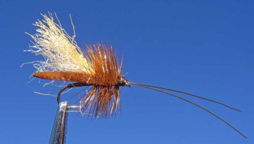Slickwater Caddis - Brown