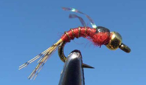 Tailwater Tiny - Red