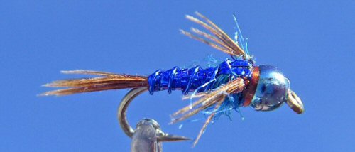 Lightning Bug - Purple