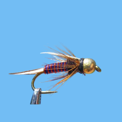 Tungsten Hotwire Prince - Blue Red