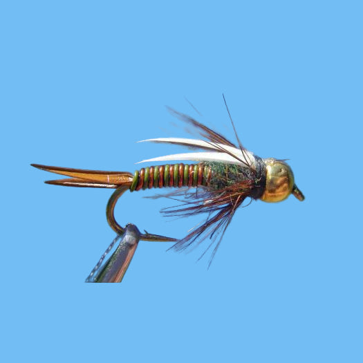 Tungsten Hotwire Prince - Olive/Copper