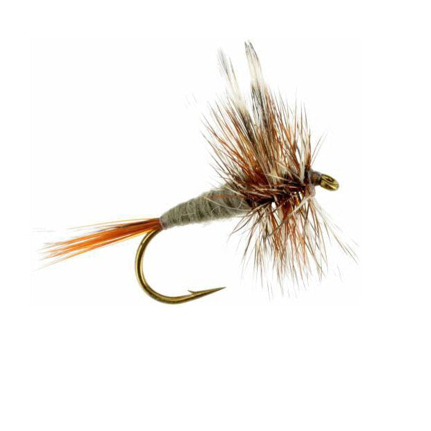 Adams dry fly — classic upright grizzly wing tips, mixed brown and grizzly hackle, gray muskrat body, and split tail on a standard dry fly hook