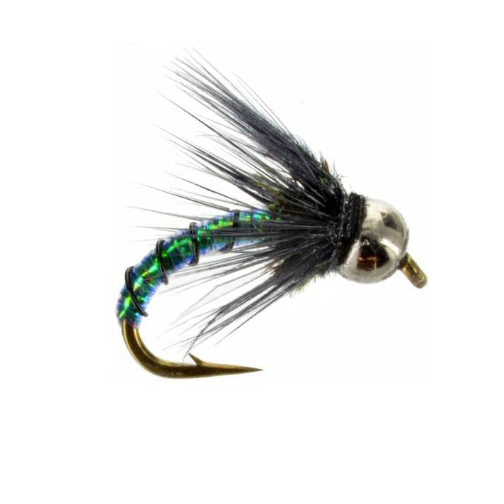 Caddis Borealis caddis wet fly and emerging pattern sizes 14 and 18 for Colorado trout fishing on the Roaring Fork and Frying Pan rivers