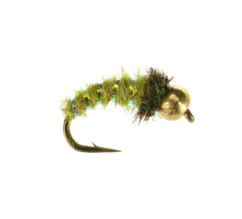 Bead Head Caddis Larva olive nymph fly pattern sizes 14 and 18 for Colorado trout fishing on the Roaring Fork and Frying Pan rivers