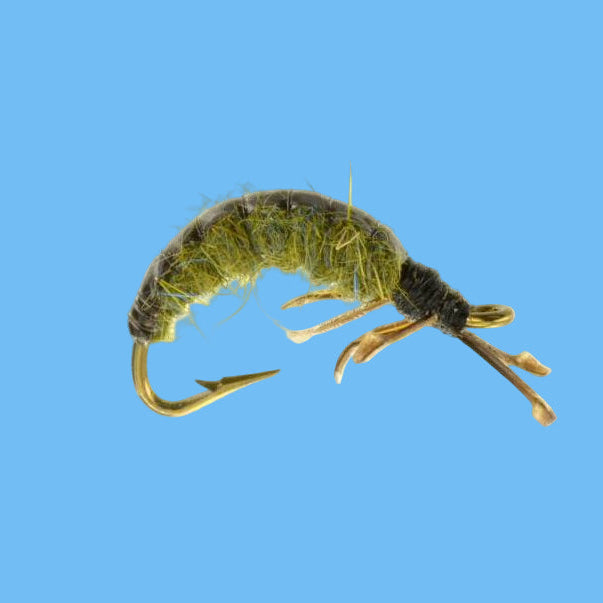 Crawling Caddis