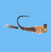 Jigged Frenchie