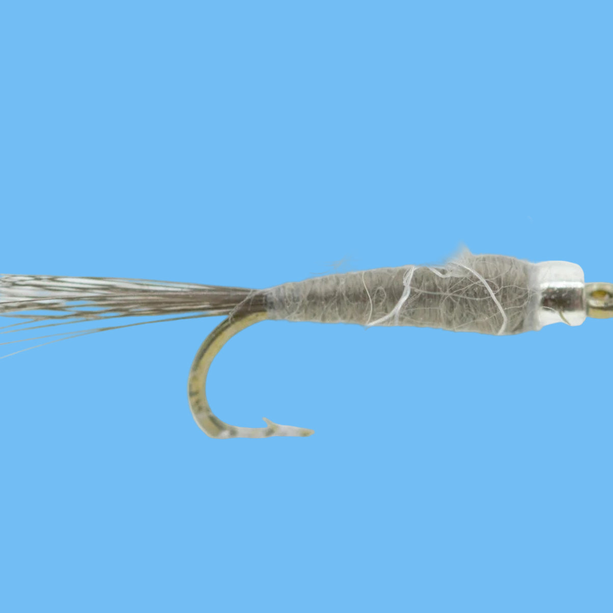 Mercury RS2 - No Wing