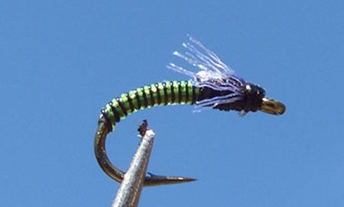 Juju bee midge - olive