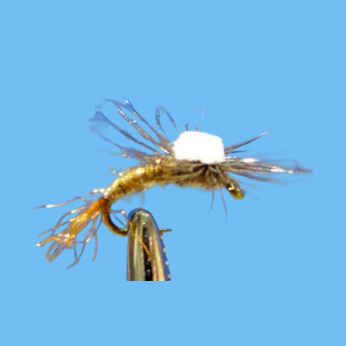 Parachute Emerger Befus