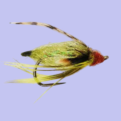 Primetiime Pupa - Olive