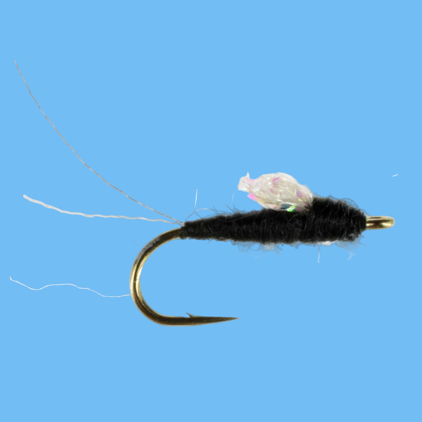 Sparkle Wing RS2 - Black