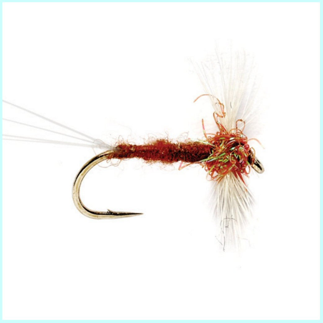 Rusty Spinner